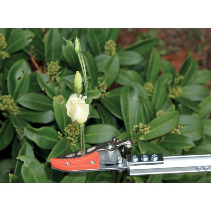 Garten PRIMUS telescopische snoeischaar Rosenkavalier, klein, 630 mm, carbonstaal